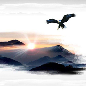 洛阳安太建筑保温材料有限公司