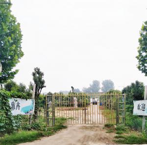 雅卉苗木春季热售中